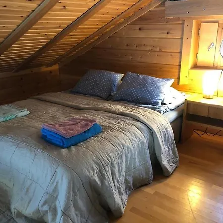 Eco-villa Saturnus 别墅 *